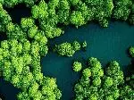 sustainability